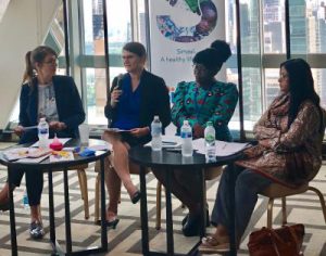 Professor Inga Winkler Speaks at UN Event on Menstrual Health